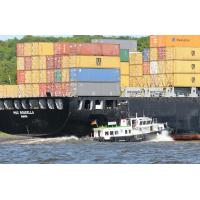 2601 Das Schiff des Hafenlotsen nähert sich dem Containerfrachter MSC ROSELLA  | Bilder von Schiffen im Hafen Hamburg und auf der Elbe